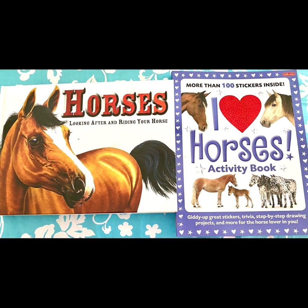 🐴Two Big,  Big Horse Books! Book & Sticker Activity Bundle! Excellent!